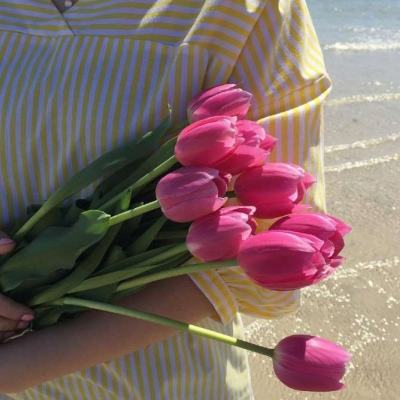 乐鱼app官方下载